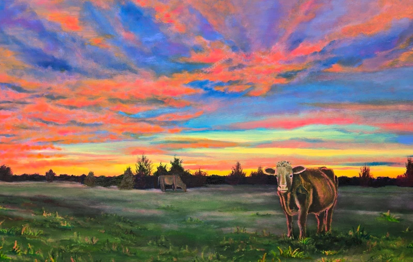 Cow